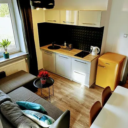 Swarny Zakatek Apartment Zakopane